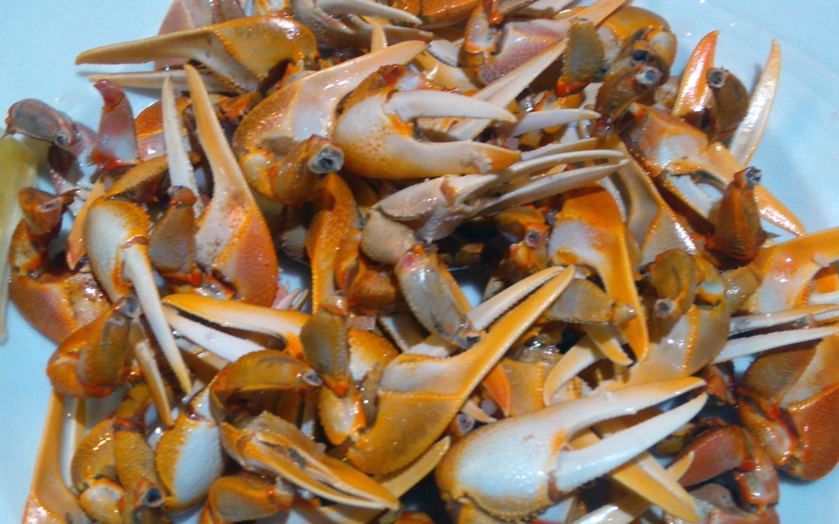 Bocas de la Isla. Venta Aurelio restaurante entre Chipiona y Sanlúcar de Barrameda. Cádiz.