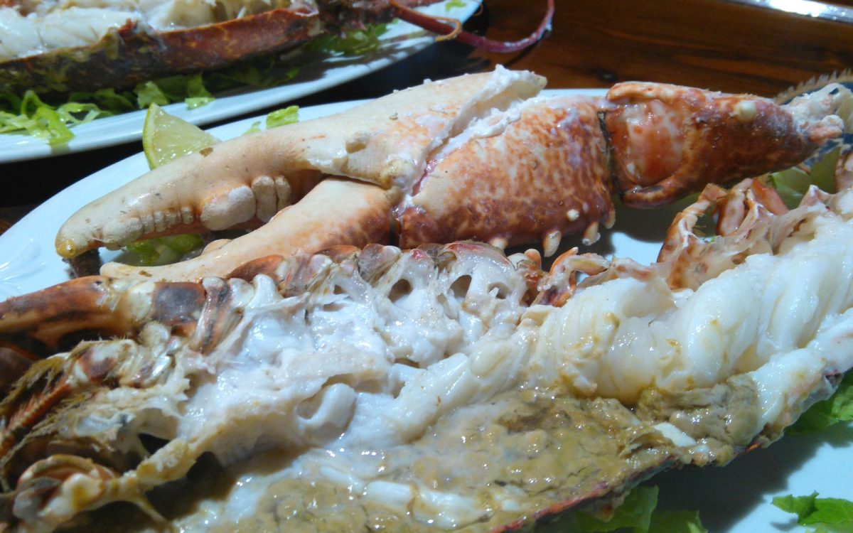 Bogavante a la plancha en restaurante de Cádiz. Venta Aurelio entre Chipiona y Sanlúcar de Barrameda.