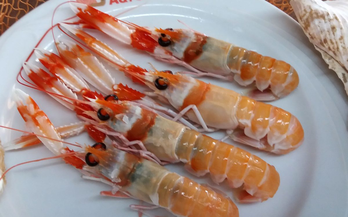 Cigalas de Huelva cocidas en restaurante de Cádiz. Venta Aurelio entre Chipiona y Sanlúcar de Barrameda.