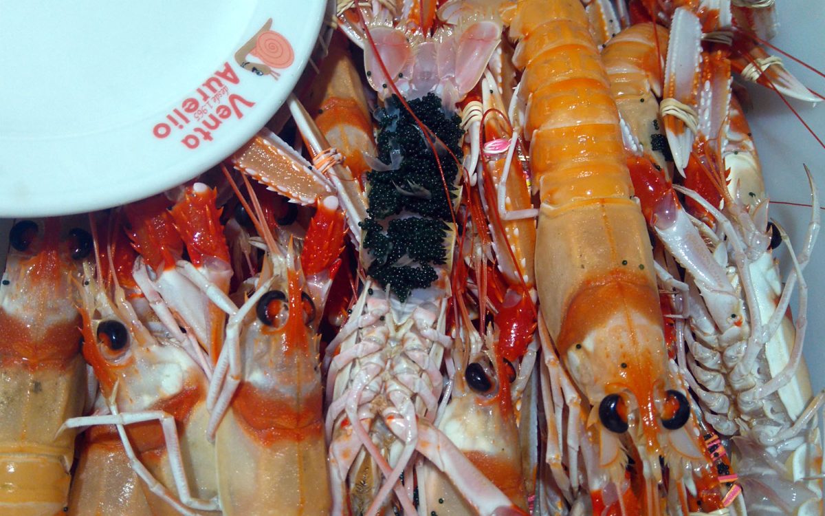 Cigalas de Huelva en restaurante de Cádiz. Venta Aurelio entre Chipiona y Sanlúcar de Barrameda.
