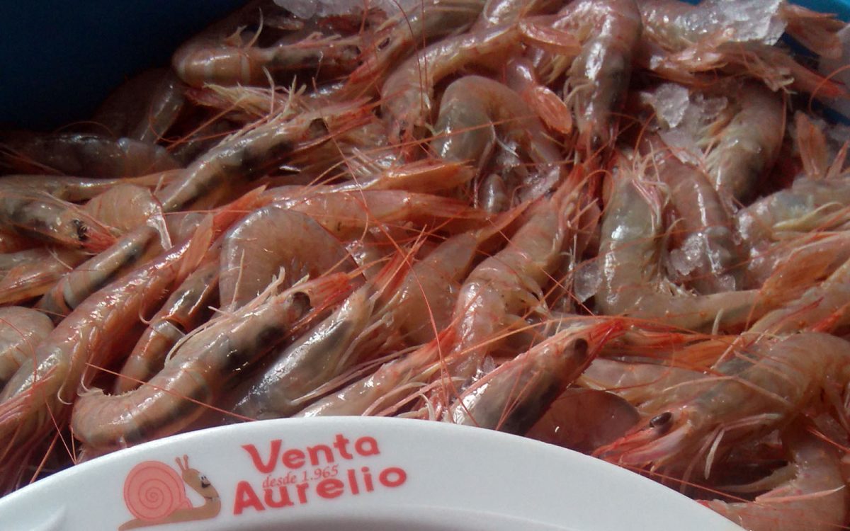 Gambas frescas de Huelva en restaurante de Cádiz. Venta Aurelio entre Chipiona y Sanlúcar de Barrameda.