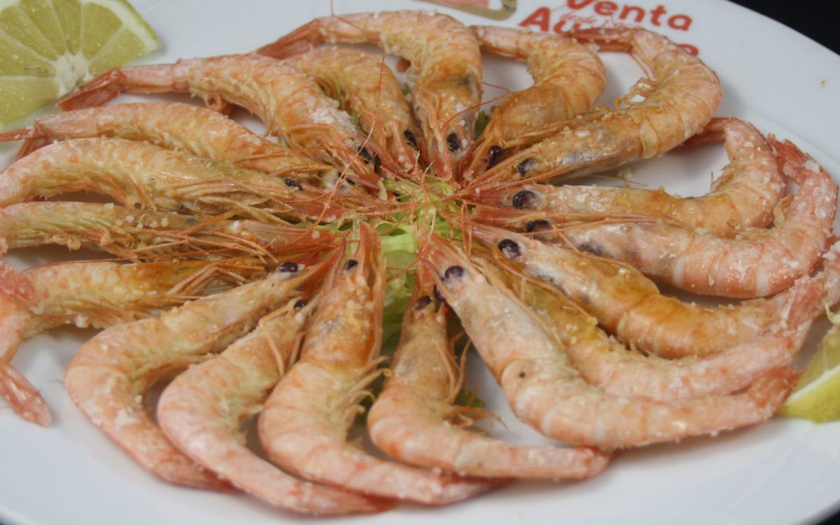Gambas de Huelva a la plancha. Venta Aurelio Restaurante entre Chipiona y Sanlúcar de Barrameda. Cádiz