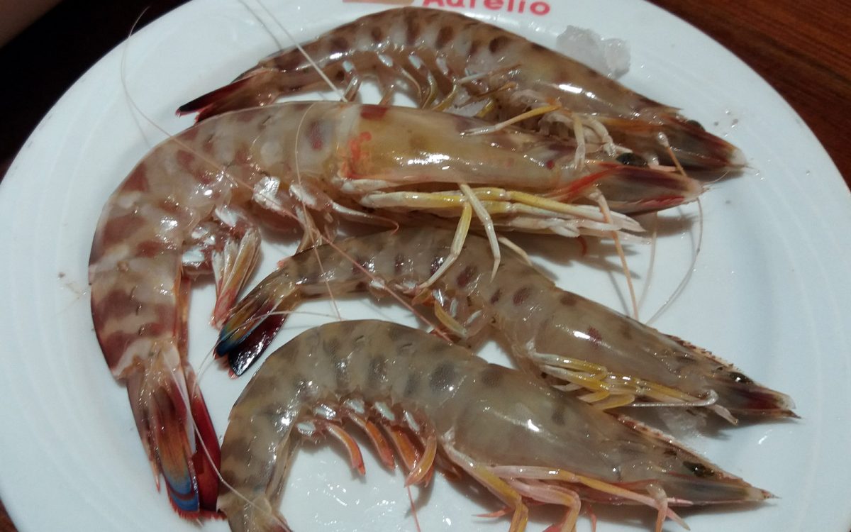 Langostinos de Sanlúcar de Barrameda. Venta Aurelio Restaurante entre Chipiona y Cádiz.
