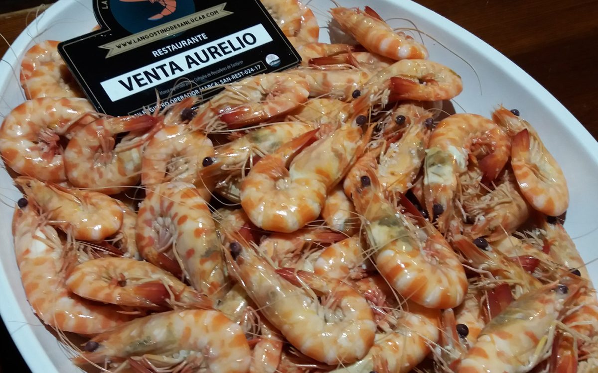 Langostino Sanlúcar en restaurante de Cádiz. Venta Aurelio entre Chipiona y Sanlúcar de Barrameda.