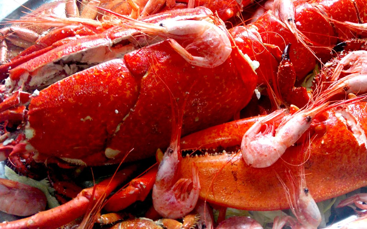 Mariscada cocida en restaurante de Cádiz. Venta Aurelio entre Chipiona y Sanlúcar de Barrameda.