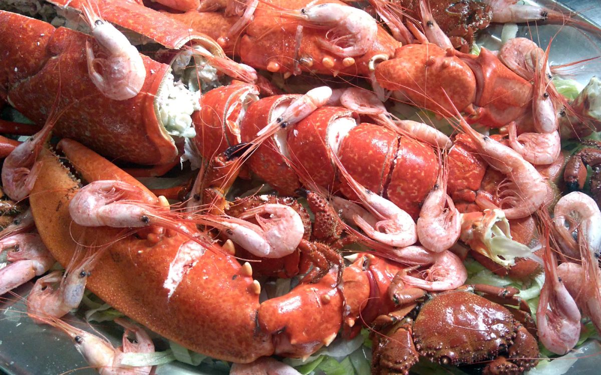 Mariscada de verano en Cádiz. Venta Aurelio Restaurante entre Chipiona y Sanlúcar de Barrameda.