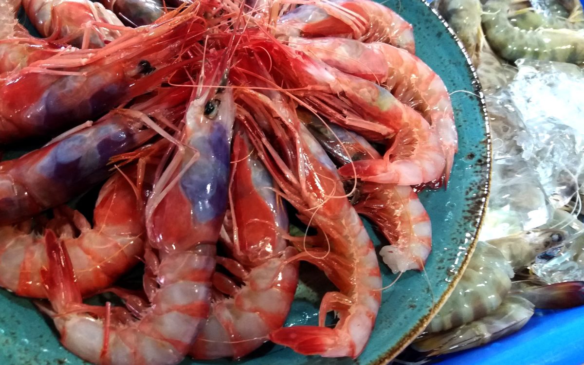 Marisco fresco de Cádiz. Venta Aurelio Restaurante entre Chipiona y Sanlúcar de Barrameda.