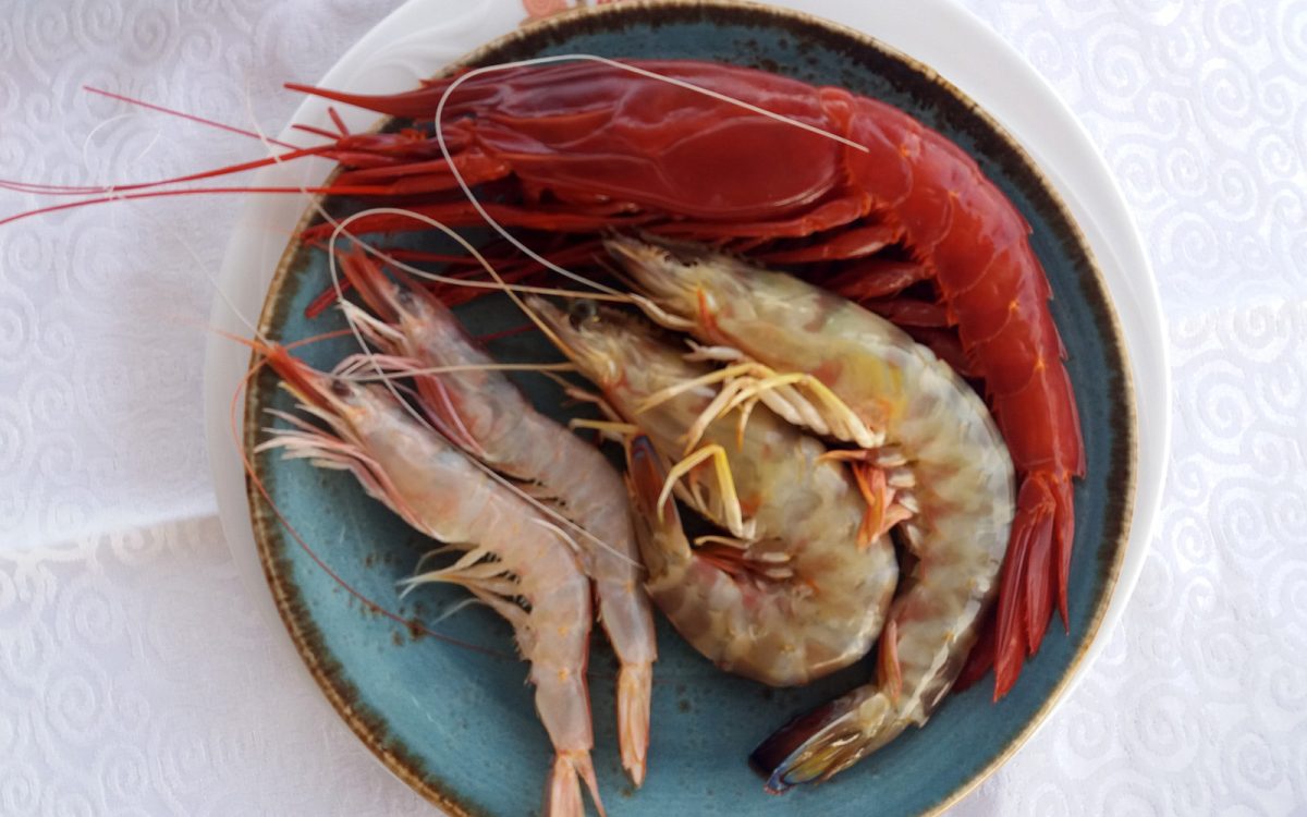 Mariscos frescos en restaurante de Cádiz. Venta Aurelio entre Chipiona y Sanlúcar de Barrameda.