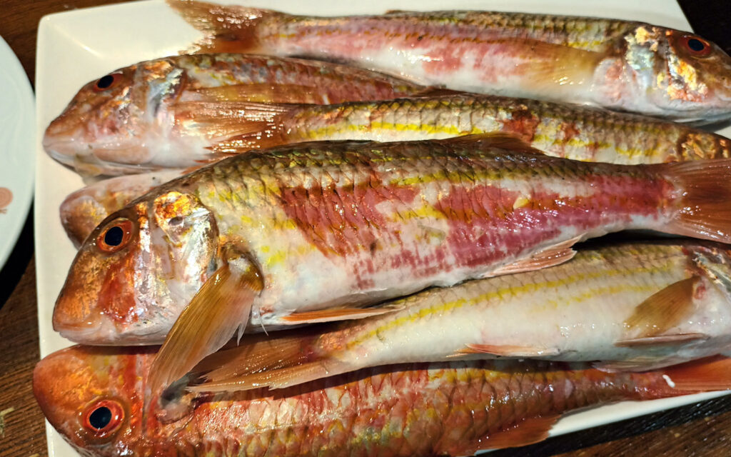 Salmonetes frescos de la playa de Cádiz. Venta Aurelio Restaurante entre Chipiona y Sanlúcar de Barrameda.